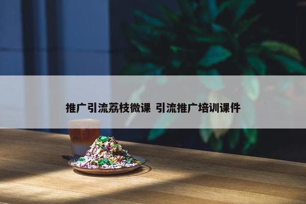 推广引流荔枝微课 引流推广培训课件