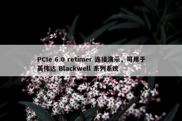 PCIe 6.0 retimer 连接演示，可用于英伟达 Blackwell 系列系统