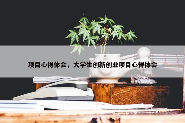 项目心得体会，大学生创新创业项目心得体会