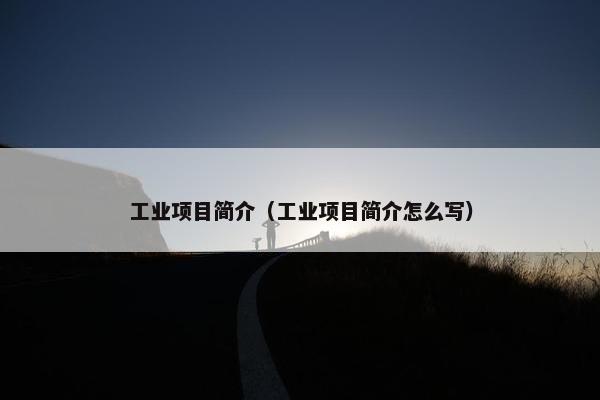 工业项目简介（工业项目简介怎么写）